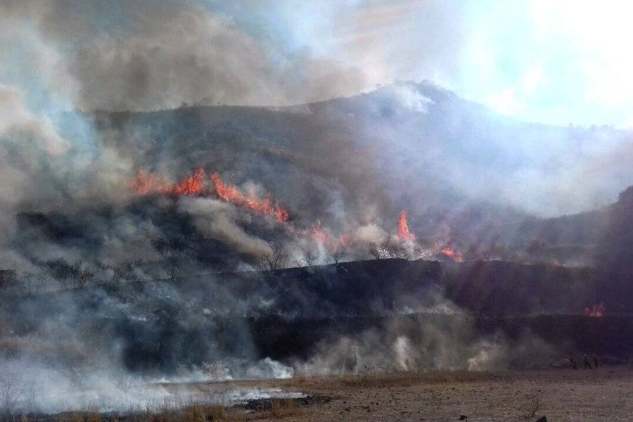 Combatirán incendios en La Primavera usando la tecnología