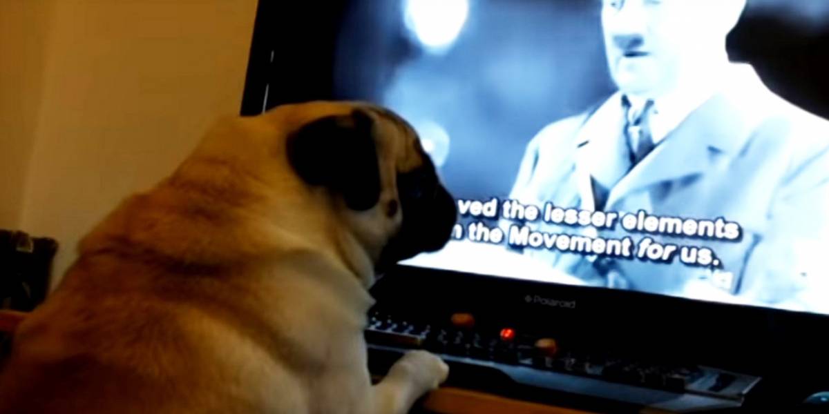 Condenan a youtuber por enseñarle el saludo nazi a su perro