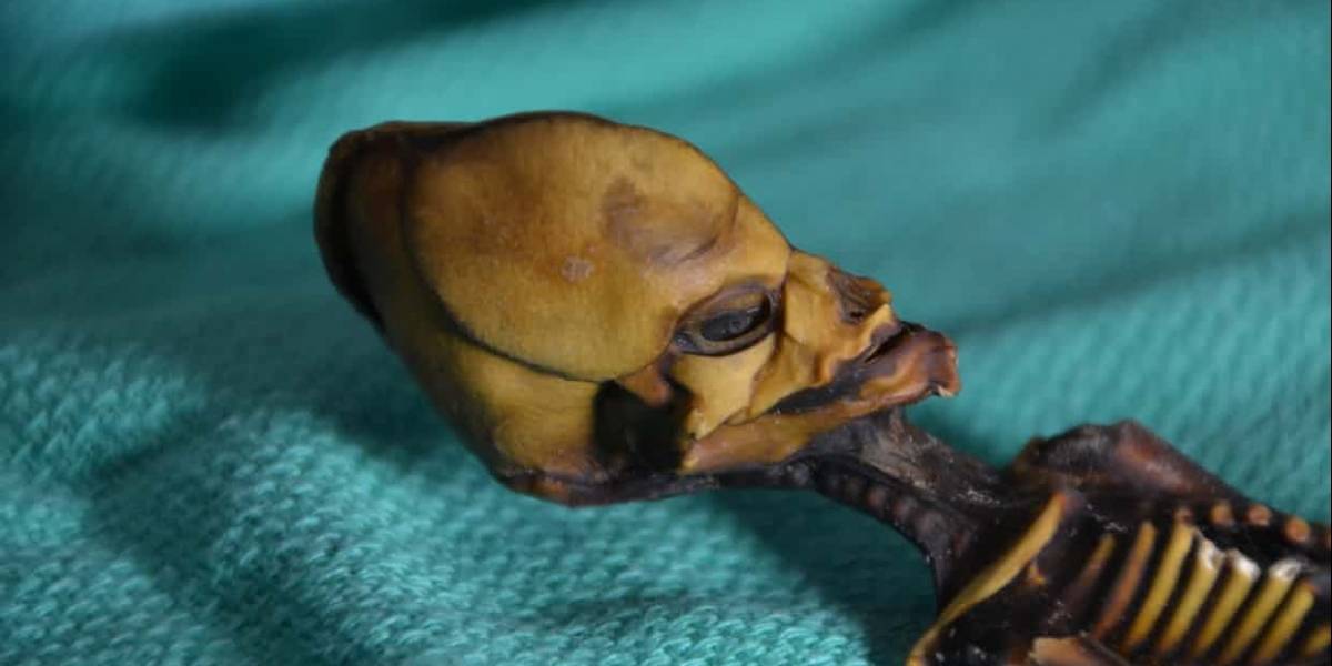 Revelan la verdad tras el esqueleto bebé alien de Atacama