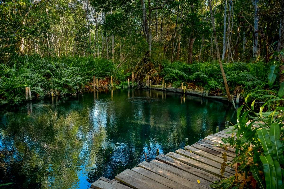 Las maravillas naturales de Yucatán