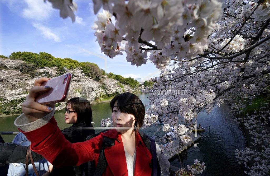 Una mujer se toma un selfie delante de flores de cerezo en el Chidorigafuchi, Tokio, el lunes, 26 de marzo del 2018. Los famosos cerezos japoneses alcanzaron plena floración en Tokio, donde la primavera se está haciendo sentir.