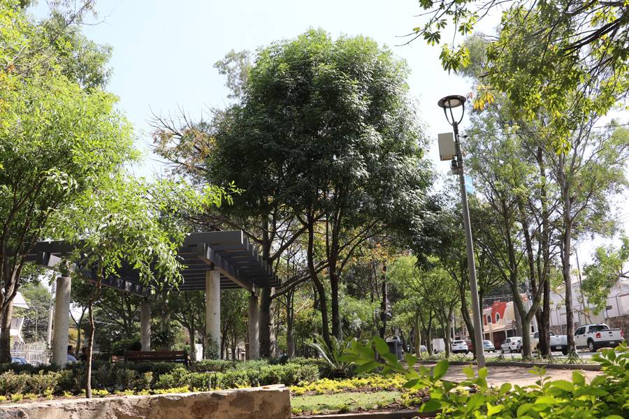 áreas verdes áreas verdes en la Ciudad.