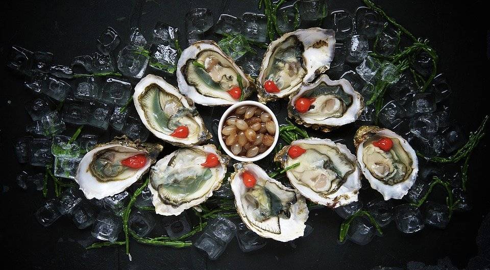oyster