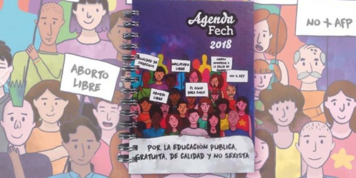 Agenda pro-aborto casero: Polémica por instructivo de la FECH