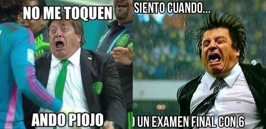 Memes Piojo Herrera