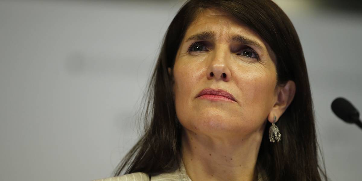 Parlamentarios oficialistas critican dichos de ex vocera de gobierno