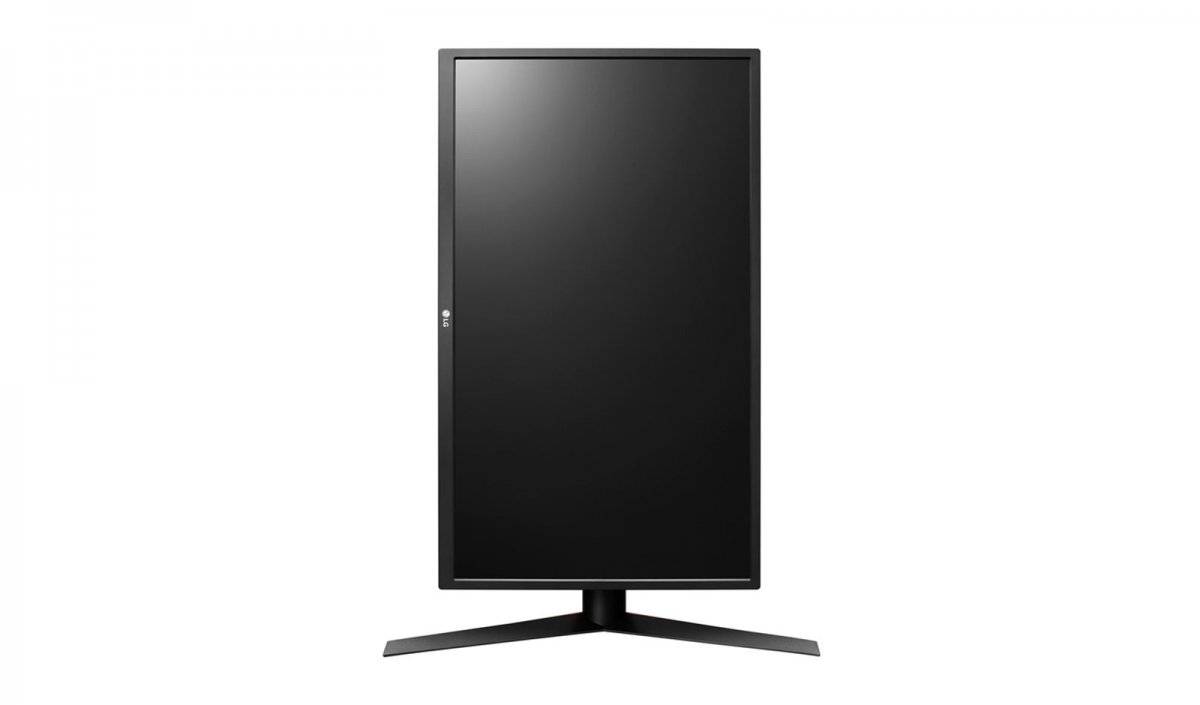 Monitor LG