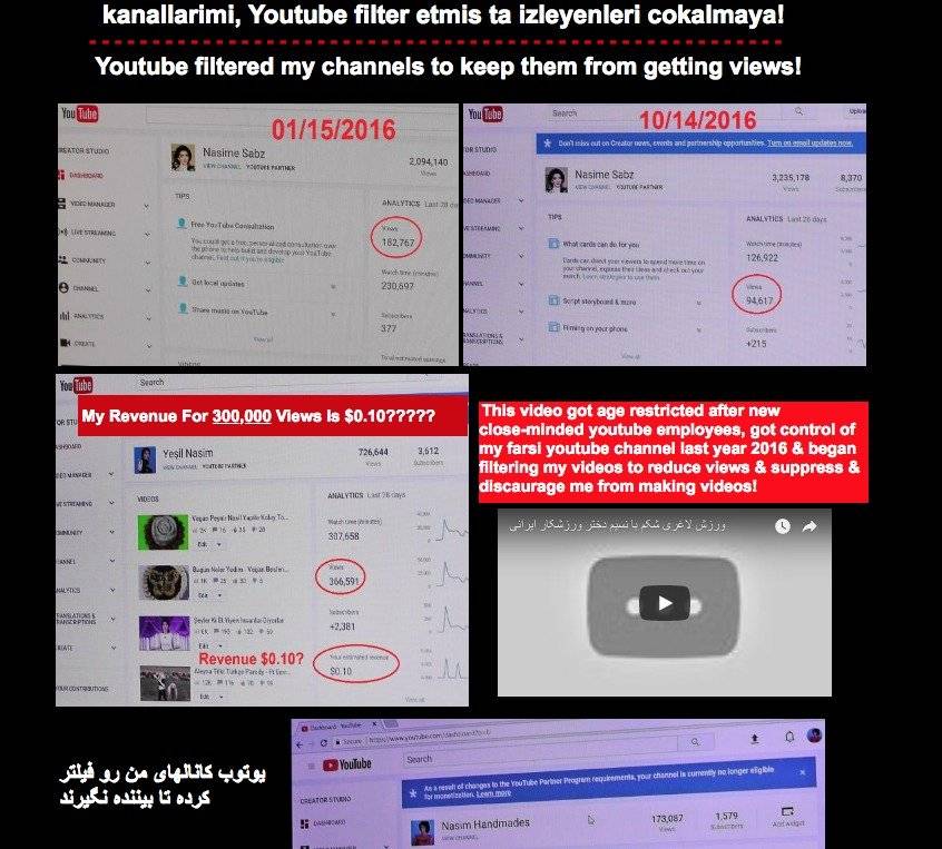 La página web de Nasim Aghdam