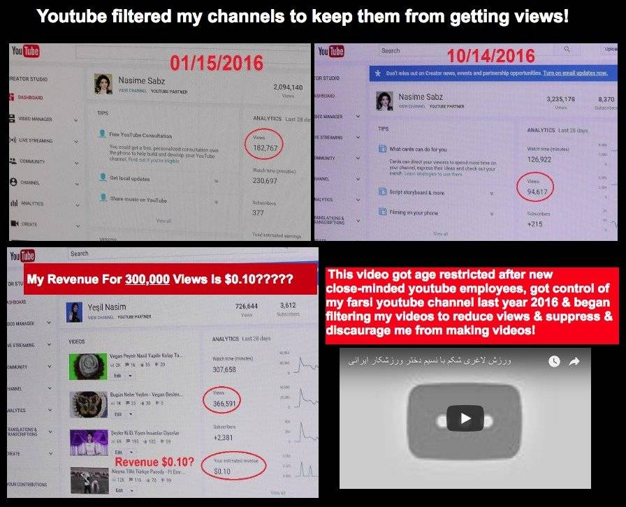 Críticas de Nasim Najafi Aghdam contra YouTube