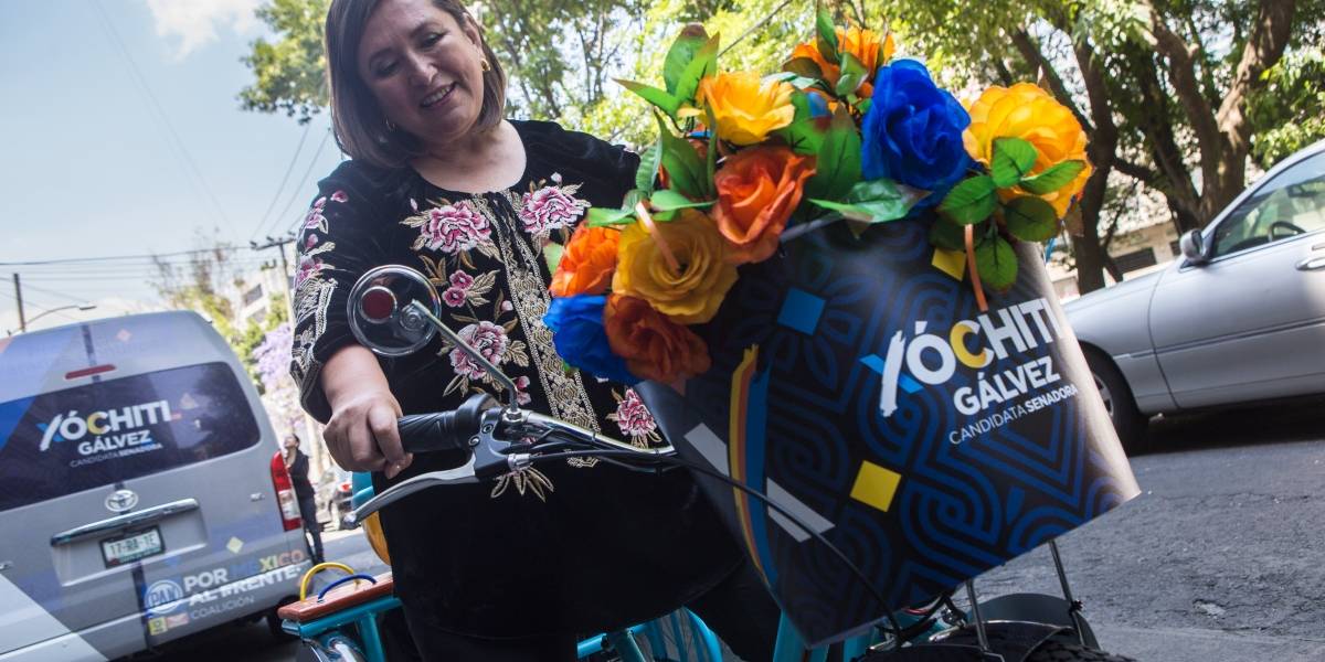 Perro muerde a Xóchitl Gálvez en la CDMX
