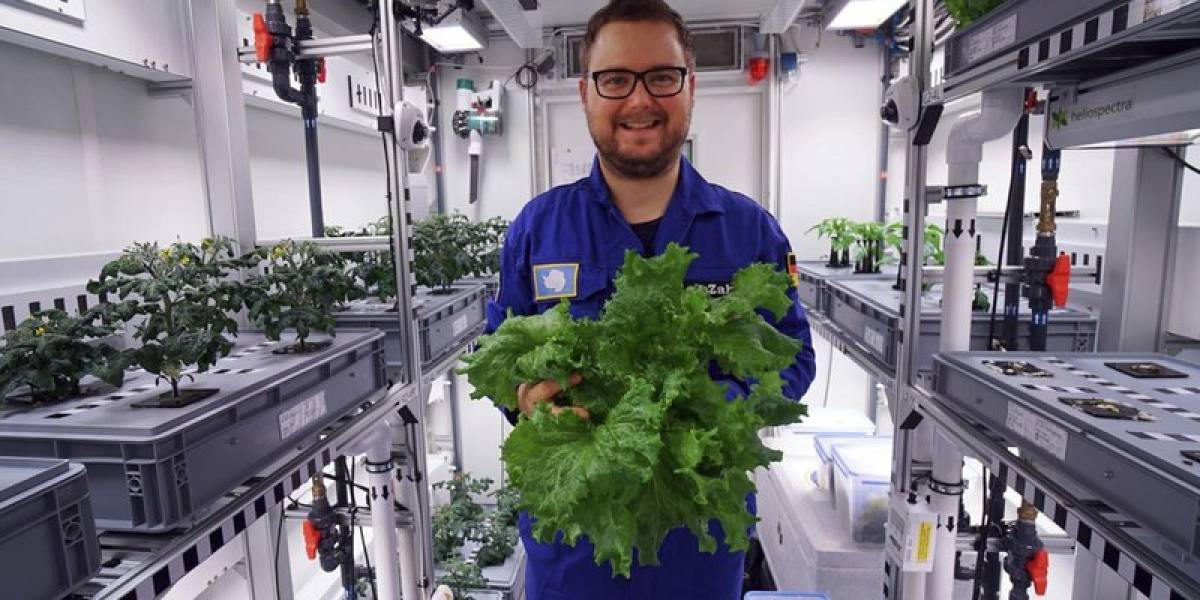 Cosecha de vegetales en la Antártica se logró en condiciones extremas para replicar modelo en Marte y la Luna