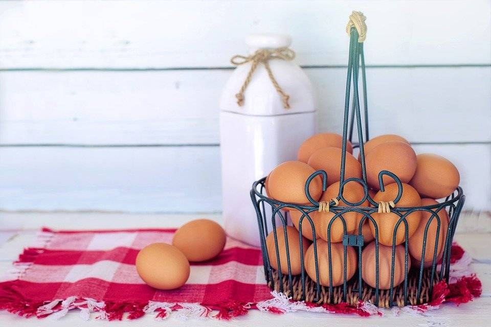 huevos
