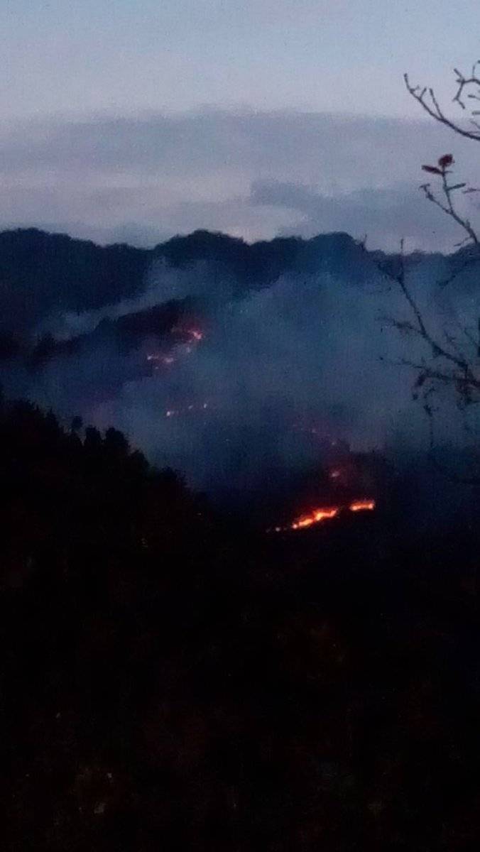 incendio forestal