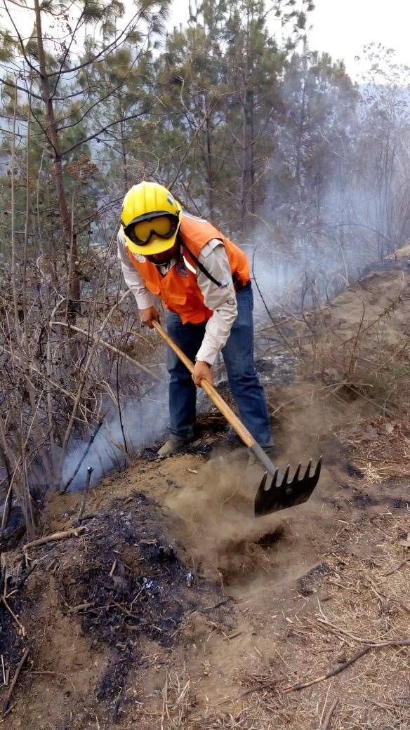 incendio forestal