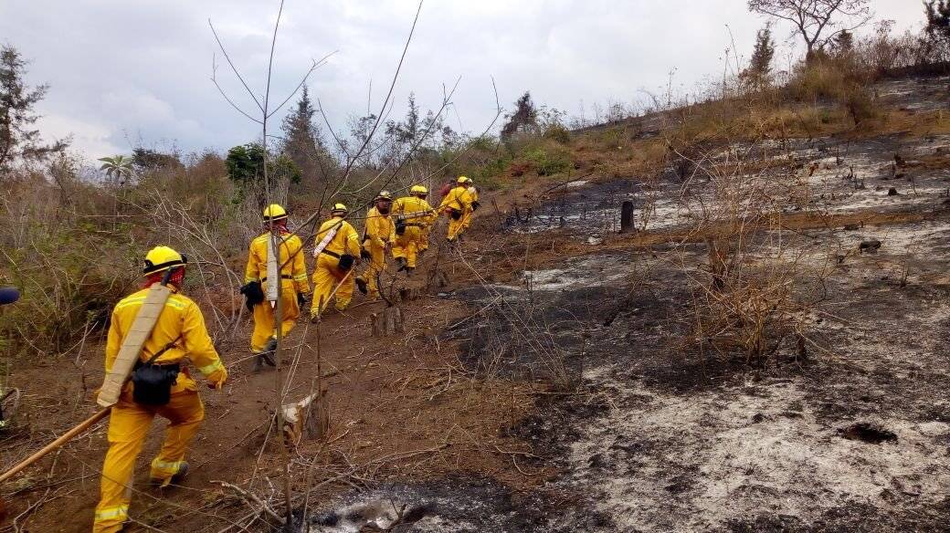 incendio forestal
