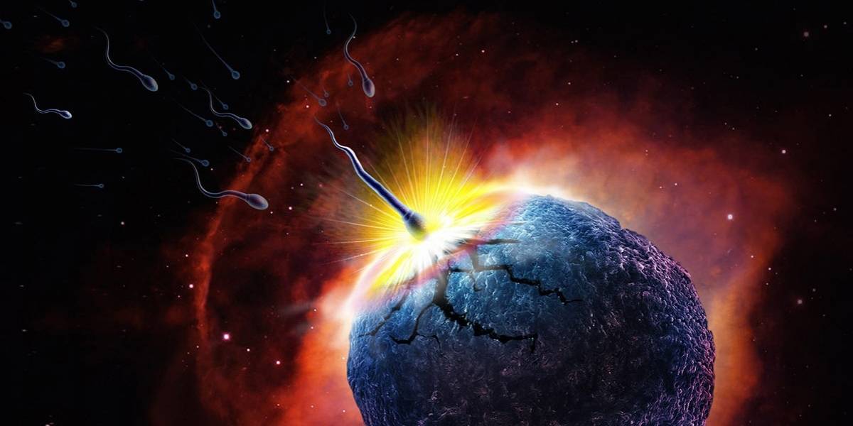 La NASA acaba de enviar semen humano y de toro al espacio en un cohete de SpaceX
