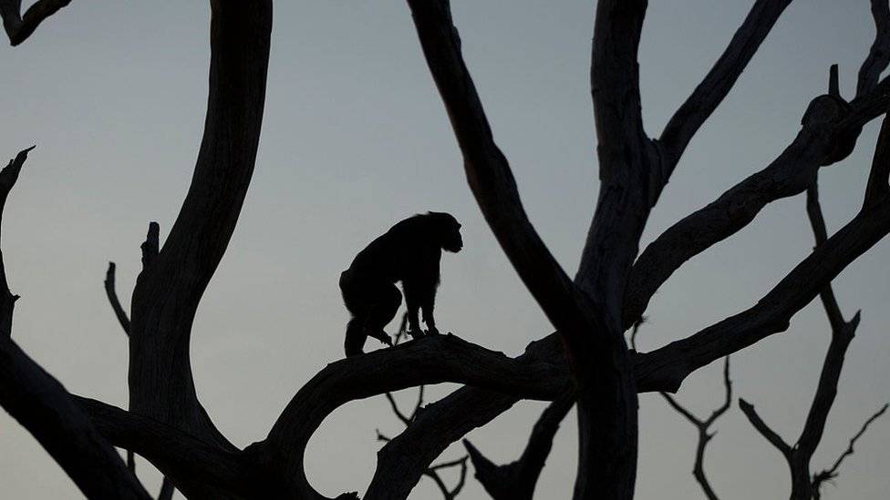 100684941gettyimages618287098-6ec705282babcdc7efa0eed9fc41df47.jpg