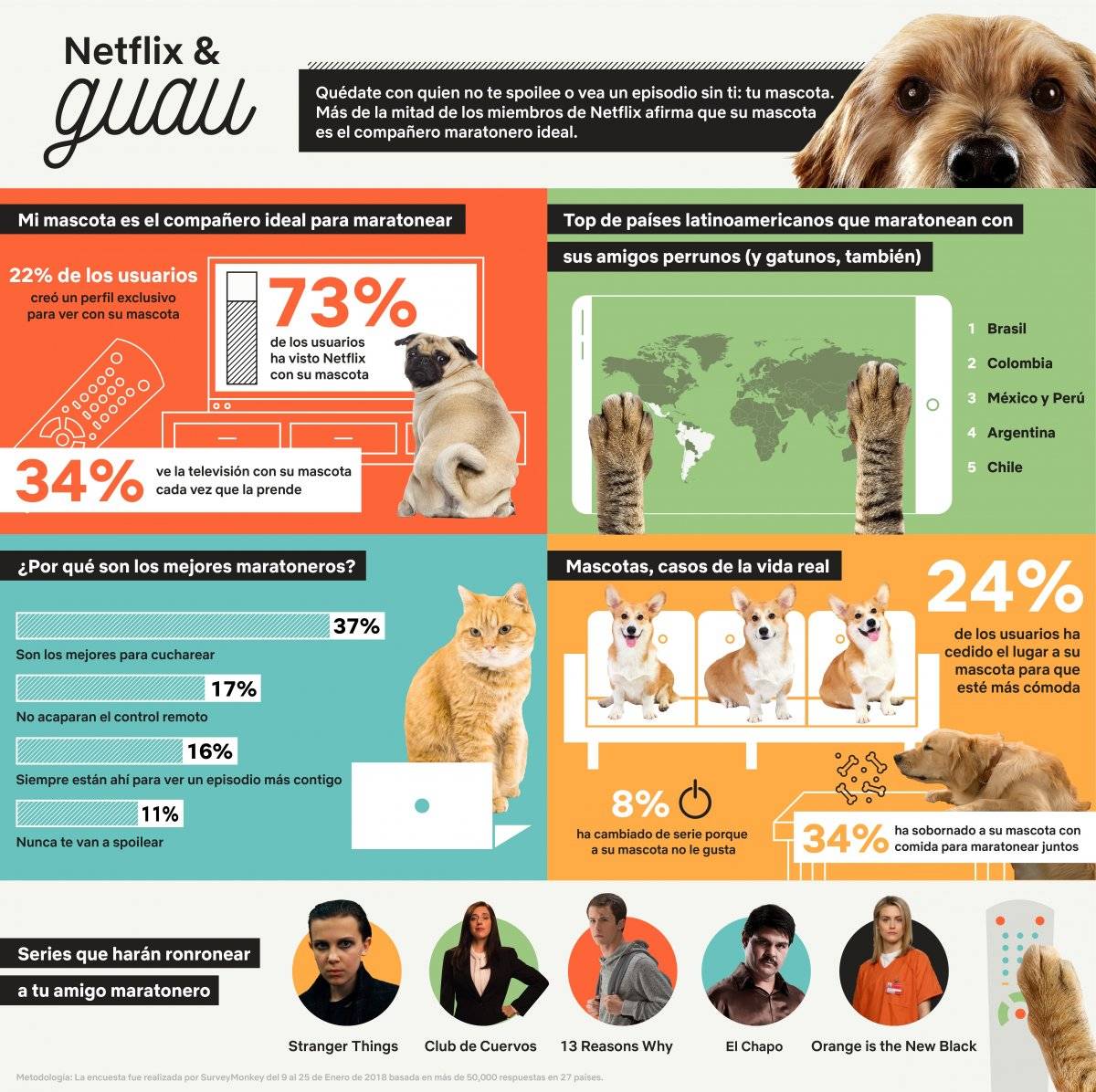 Maratonear en Netflix es mejor acompañado de tu mascota