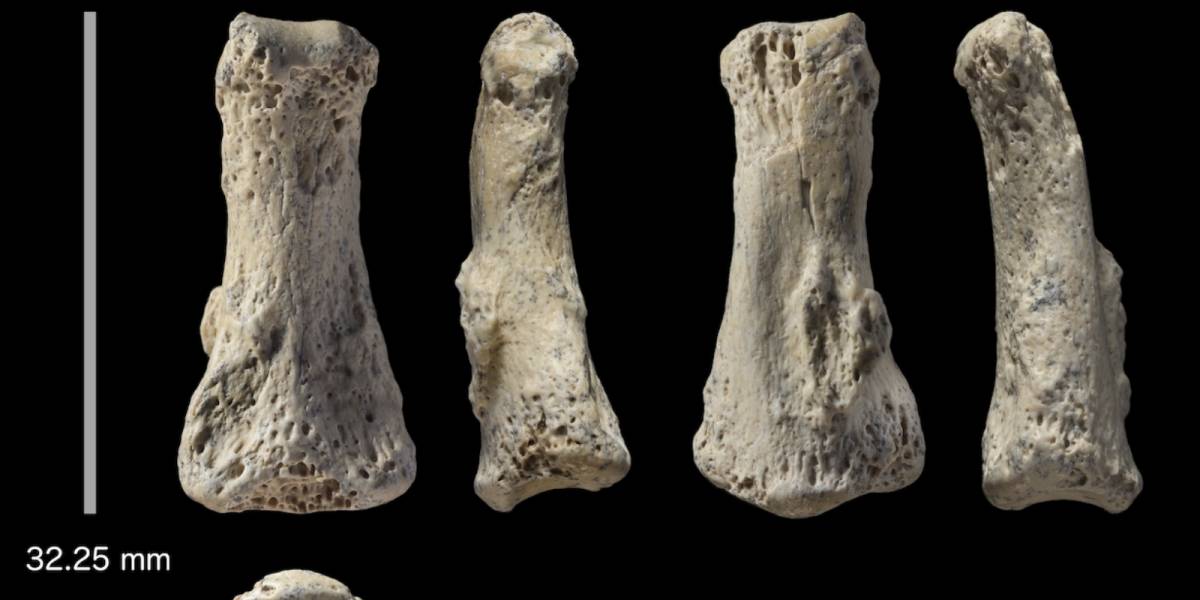 El hallazgo de un dedo fosilizado está a punto de cambiar la historia de la humanidad
