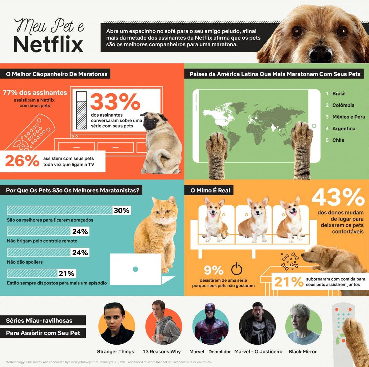 Netflix - estudo - cães - gatos