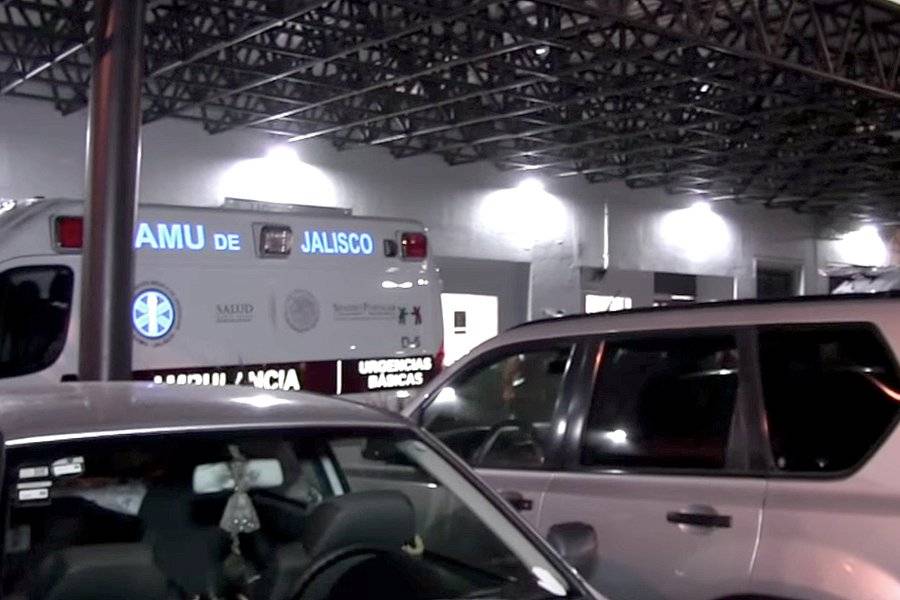 Se intoxican 11 niños en una primaria por ingerir semillas tóxicas 1 Se intoxican 11 niños en una primaria por ingerir semillas tóxicas