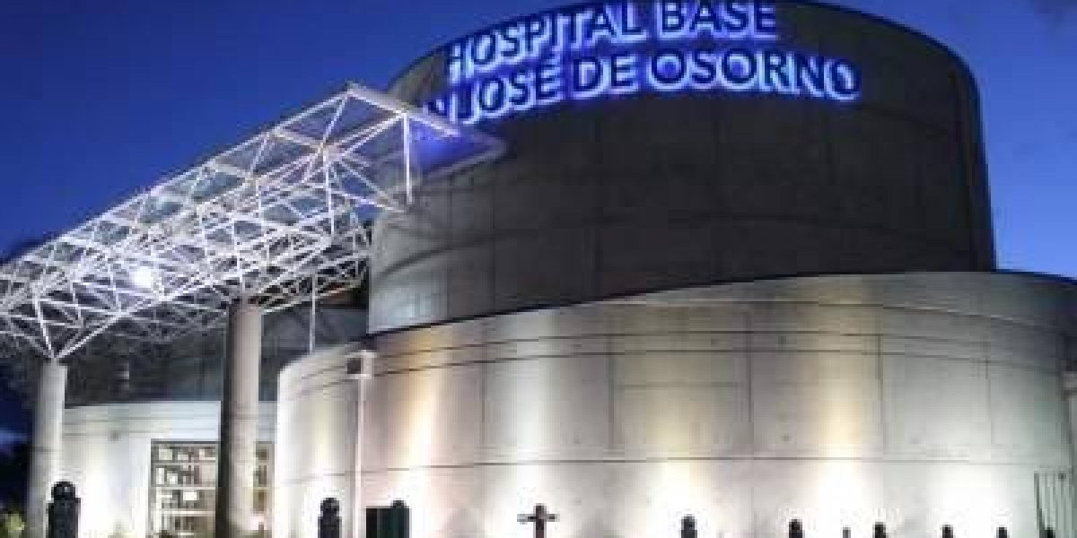Todos los ginecólogos de la red pública de Osorno son objetores — Aborto