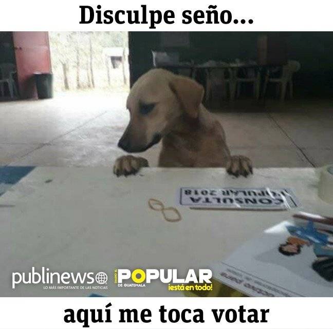 Meme4