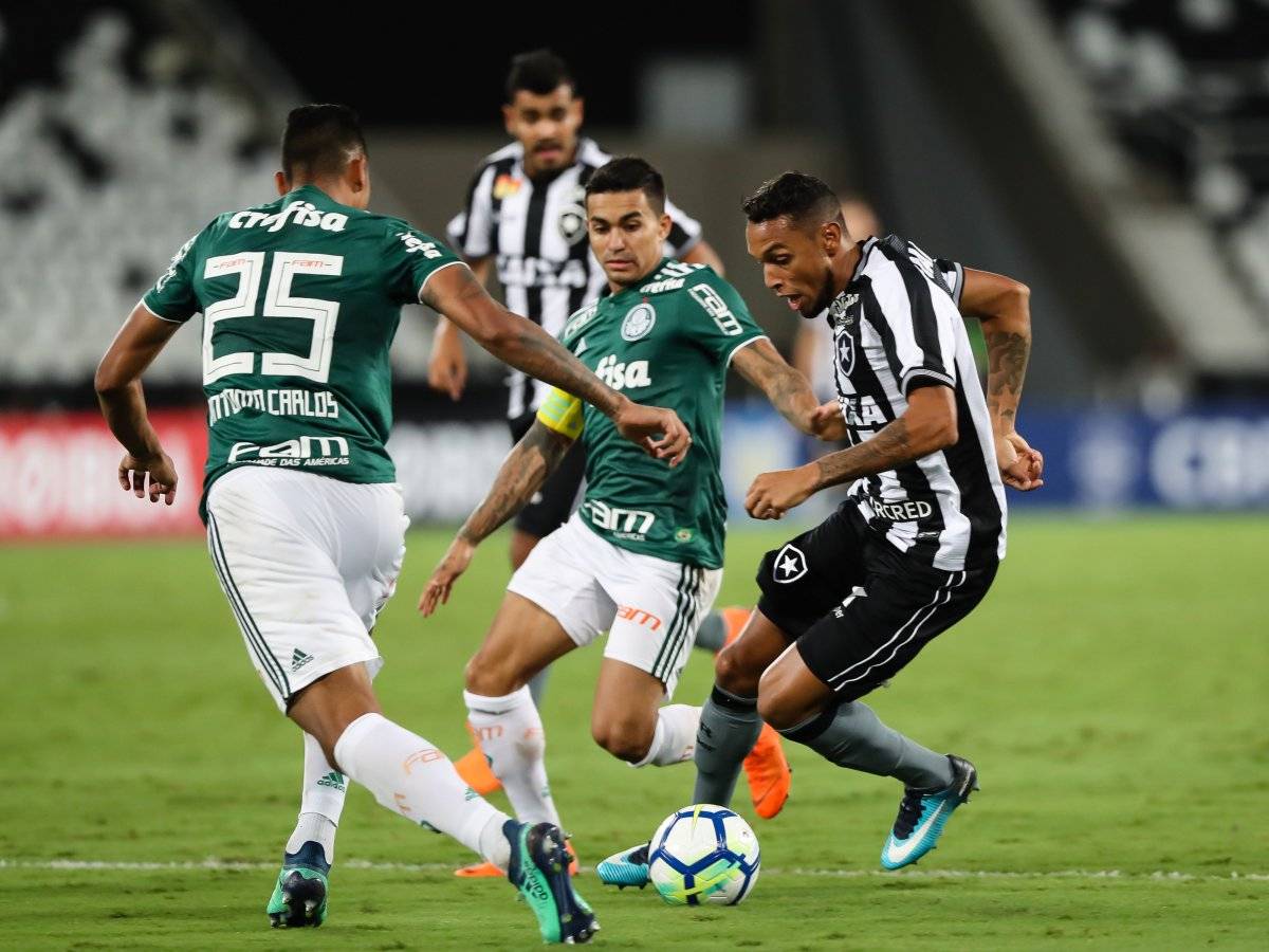 Palmeiras e Botafogo ficaram no 1 a 1
