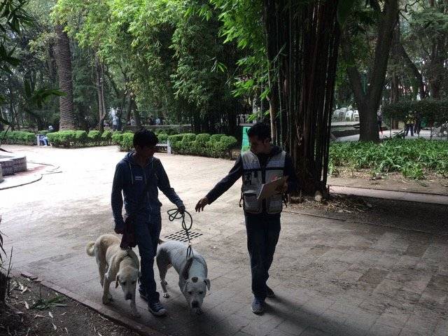 paseadoresdeperros3-44510854ec1c0fd210c4753c7d0a0834.jpg