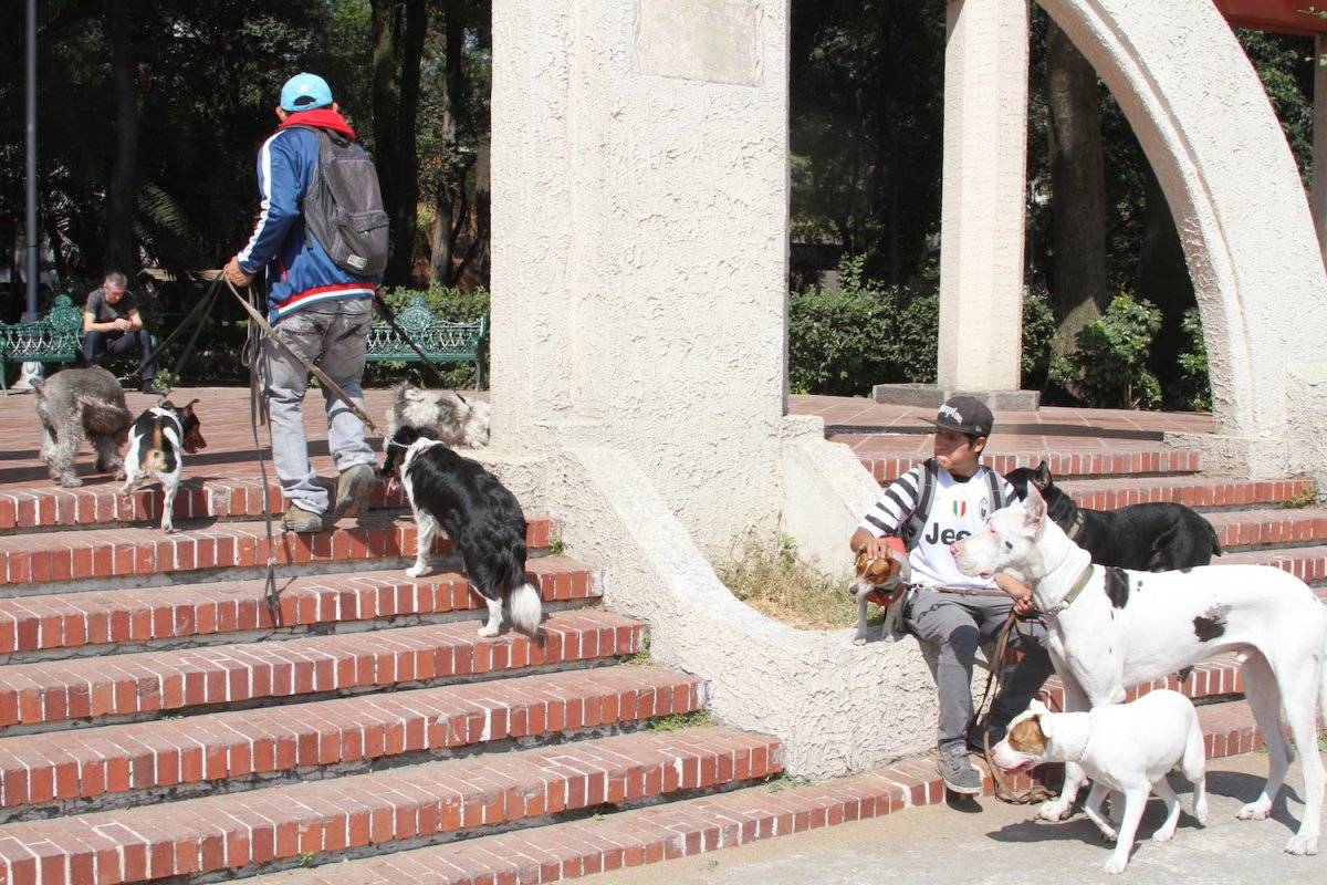 paseadoresdeperros6-723efd806244127666af8eb422507521.jpg