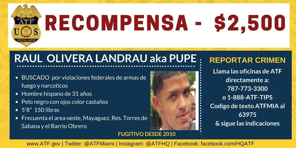 buscadopr-2a4c5b9245b135ca93b40d92e022af6c.jpg