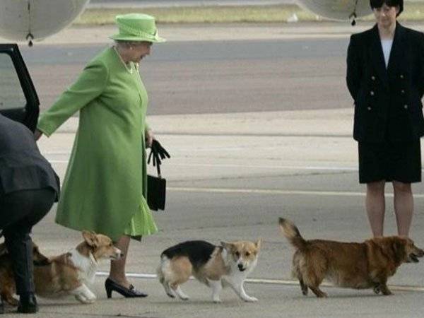Isabel II, Perro, Corgi,