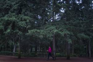 https://www.publimetro.com.mx/mx/noticias/2018/04/22/sujeto-ataca-a-corredora-en-el-bosque-de-tlalpan.html