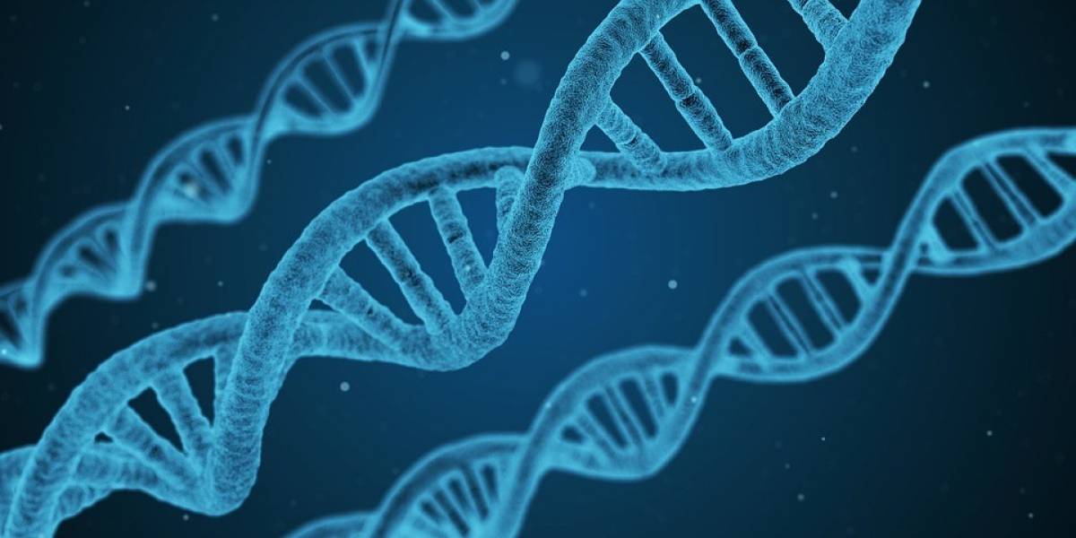 La estructura del ADN no es solo la "doble hélice" que conocíamos