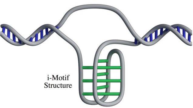 Nueva estructura Nueva estructura