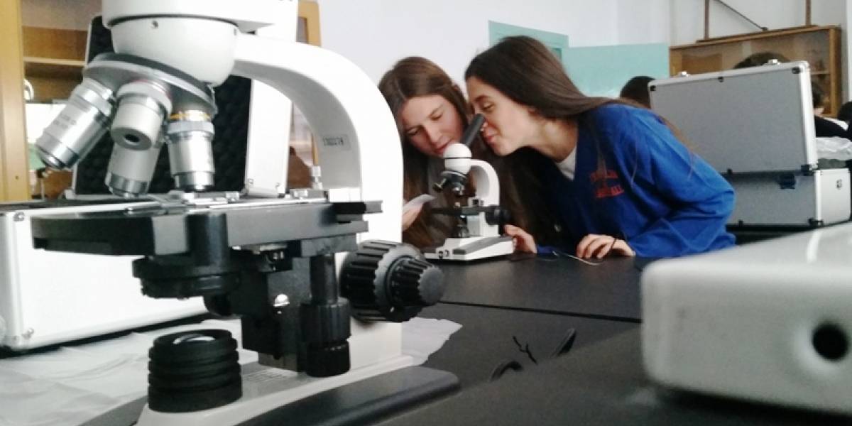 Científicos chilenos quieren que las Ciencias Naturales sean obligatorias hasta concluir la enseñanza media