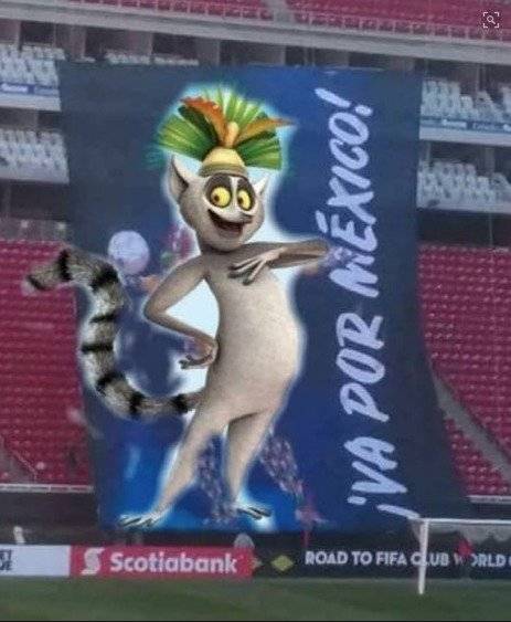 chivas