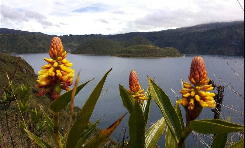 foto0000001320161028193103reservaecologicacotacachicayapas-b1f63c21e86fec391347a2a70b3c6124.jpg
