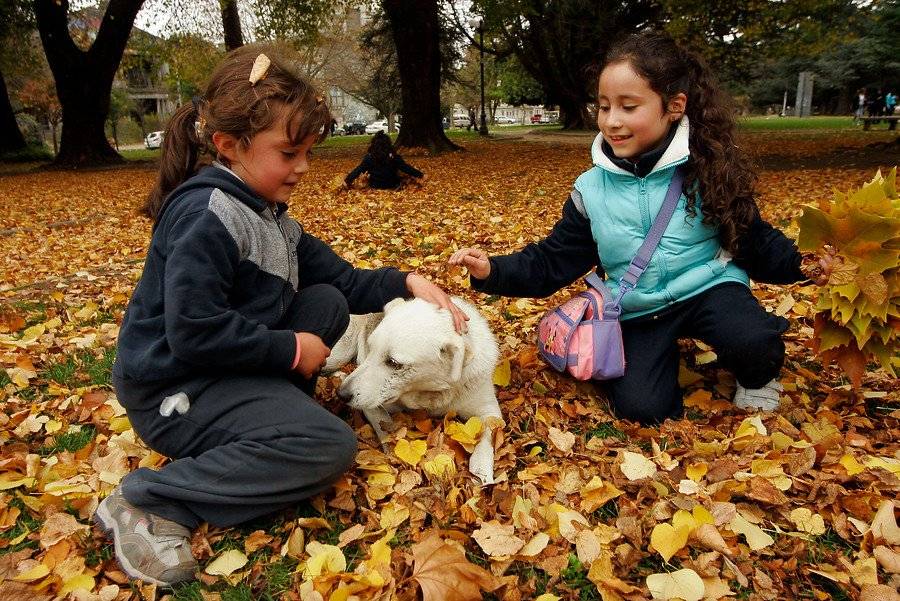 Niños jugando en Otoño