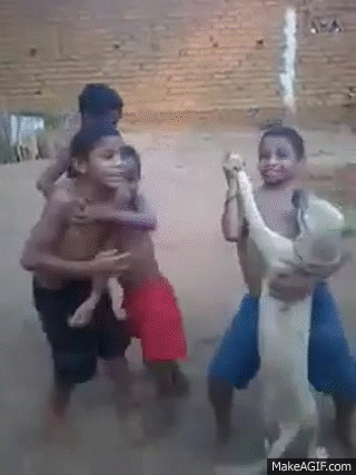 GIF
