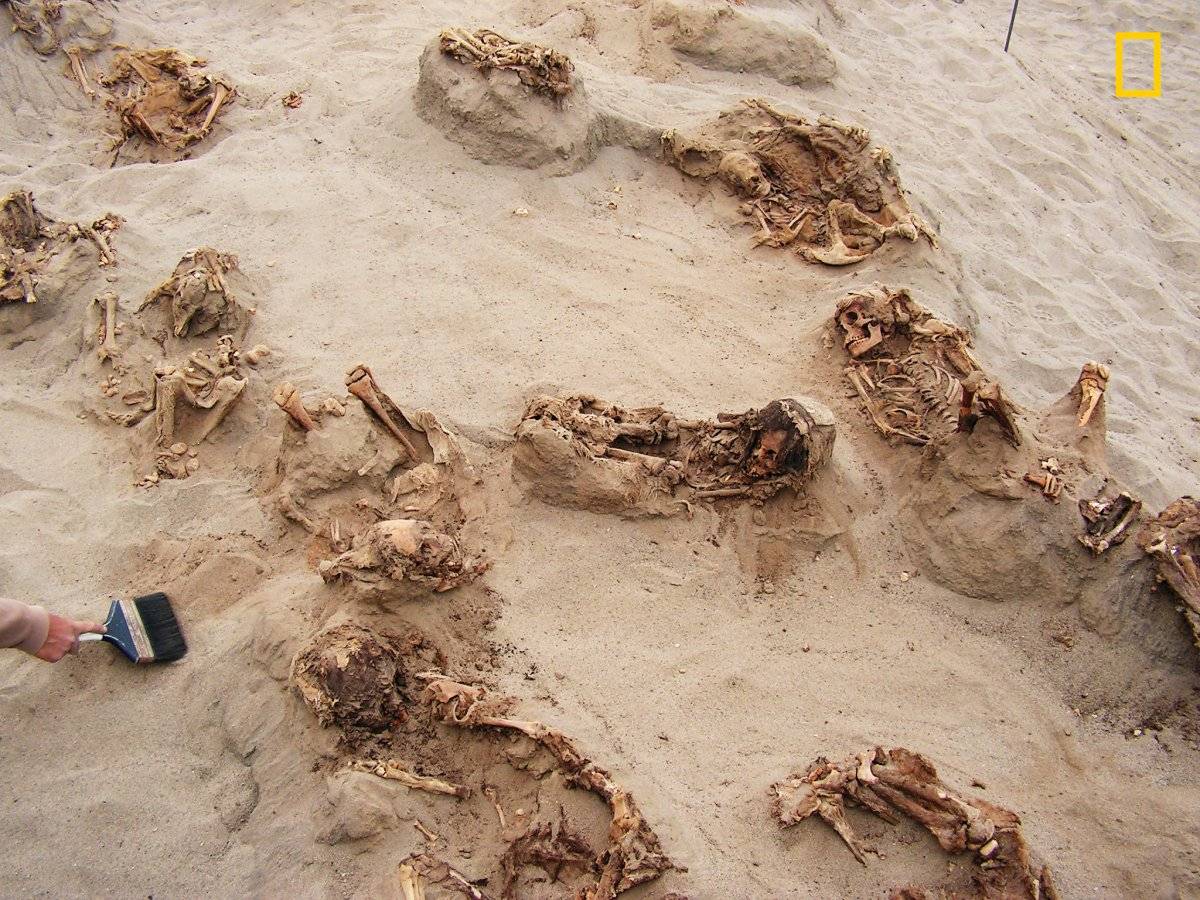 En esta foto del 22 de abril de 2011 que fue proporcionada por National Geographic se muestra más de una docena de cuerpos preservados en arena por más de 500 años en Huanchaquito-Las Llamas, cerca de Trujillo, Perú.