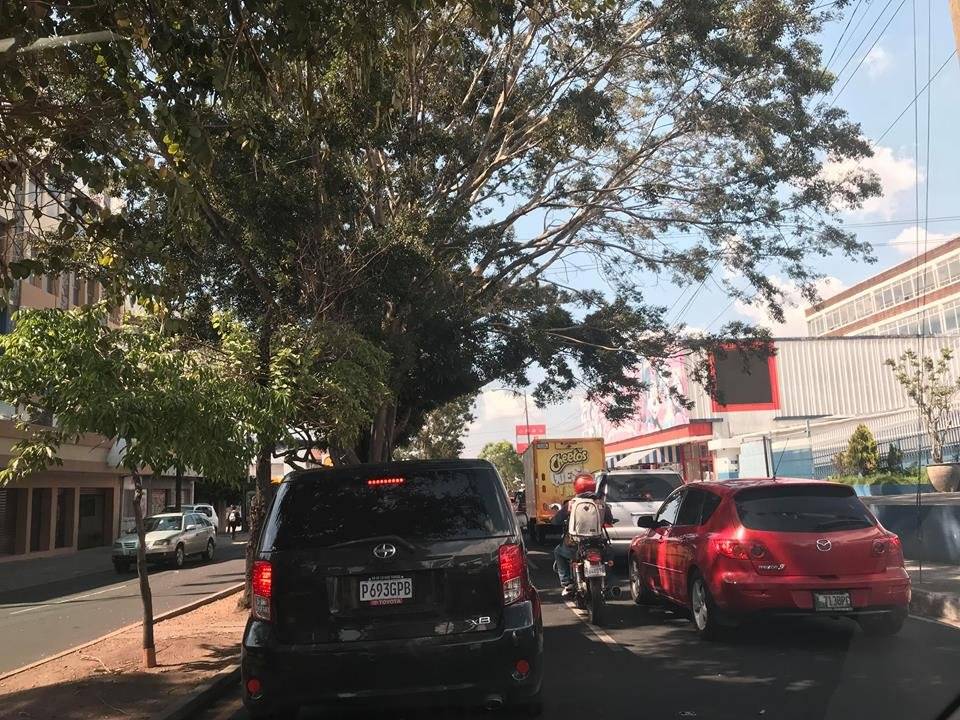 Foto: Luisa Pérez