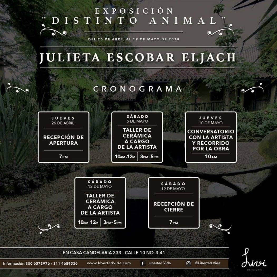 Exposición Distinto Animal