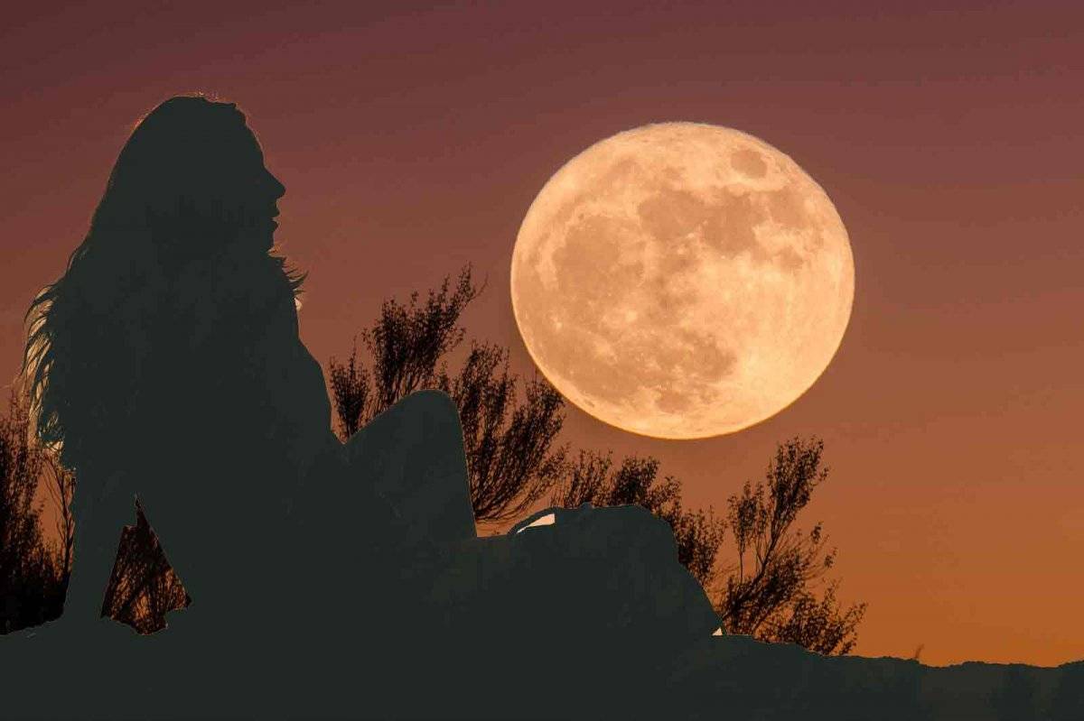 la Luna Nueva