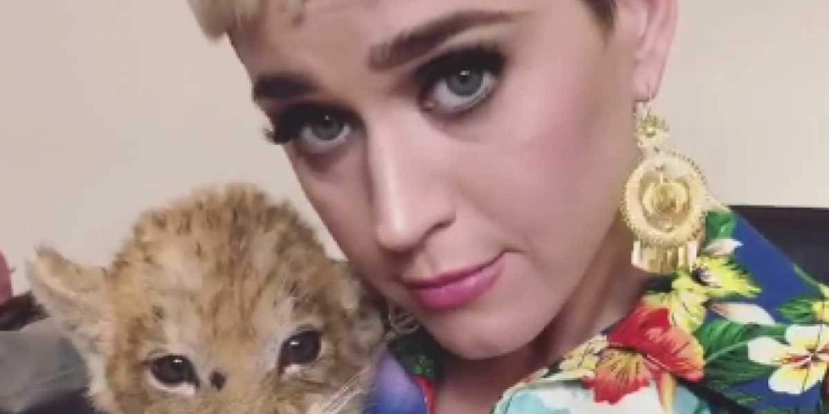 Katy Perry — Concierto en Imágenes