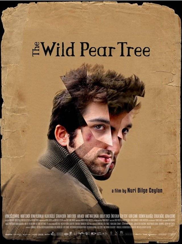 The Wild Pear Tree, de Nuri Bilge Ceylan