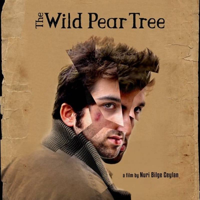 The Wild Pear Tree, de Nuri Bilge Ceylan