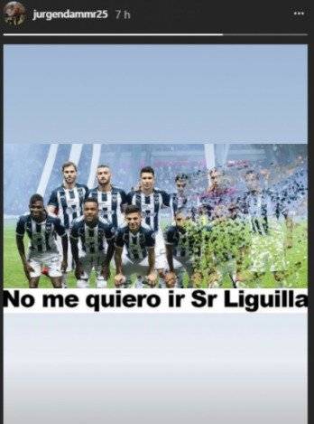 Rayados