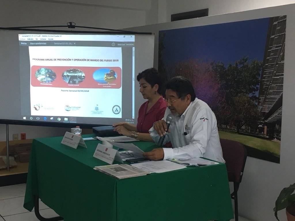 Jalisco, el estado con más hectáreas dañadas por incendios forestales