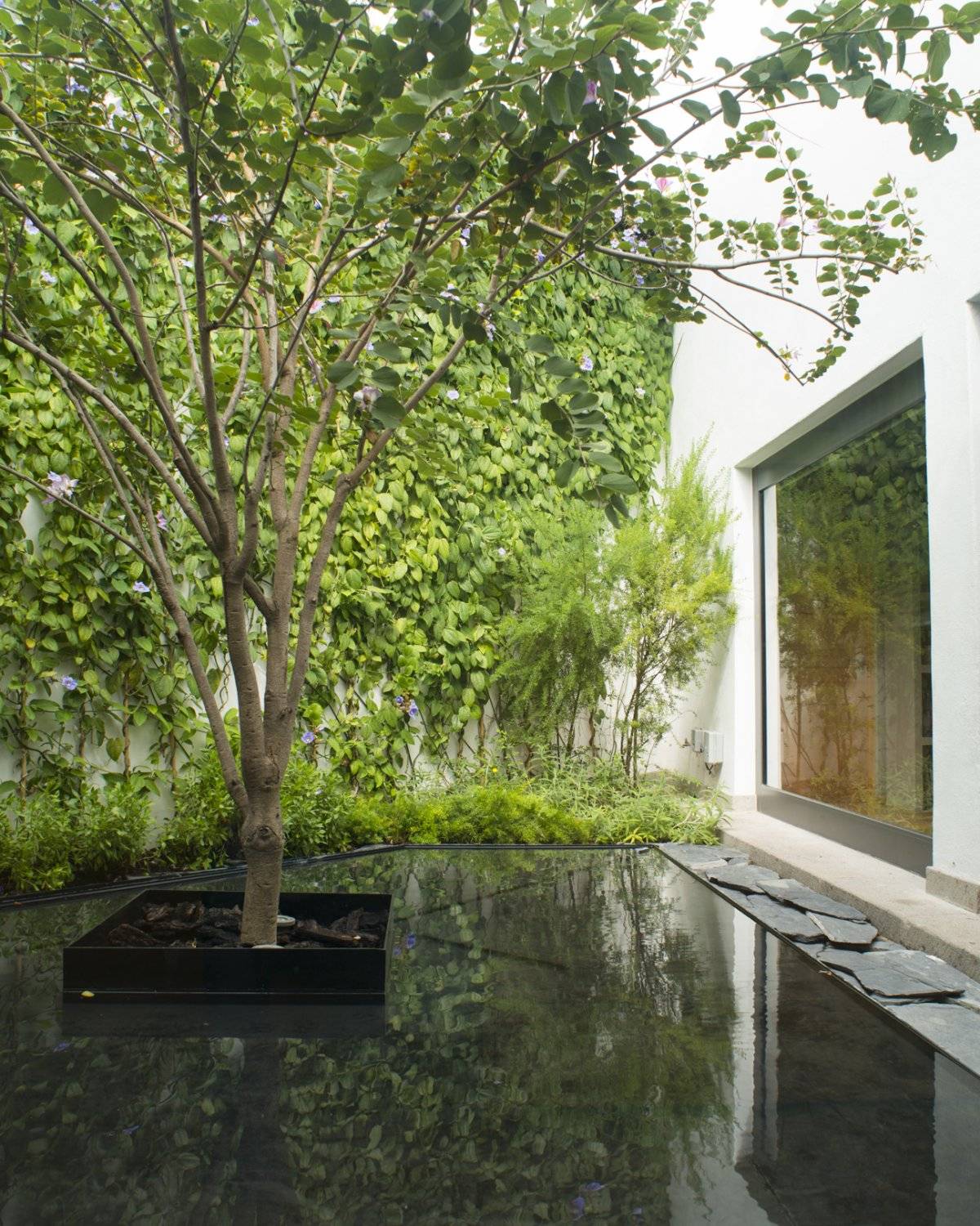 Interiorismo verde con plantas